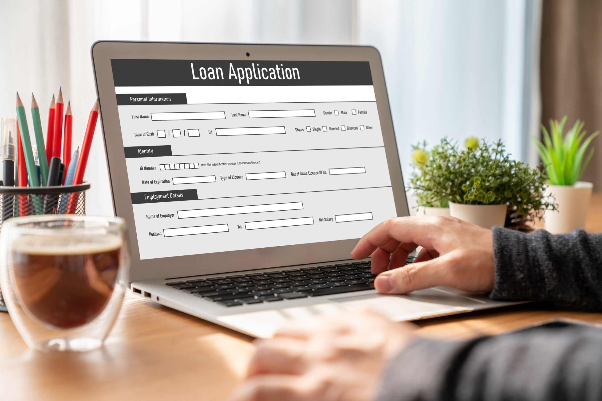 Online loan application form for modish digital information collection